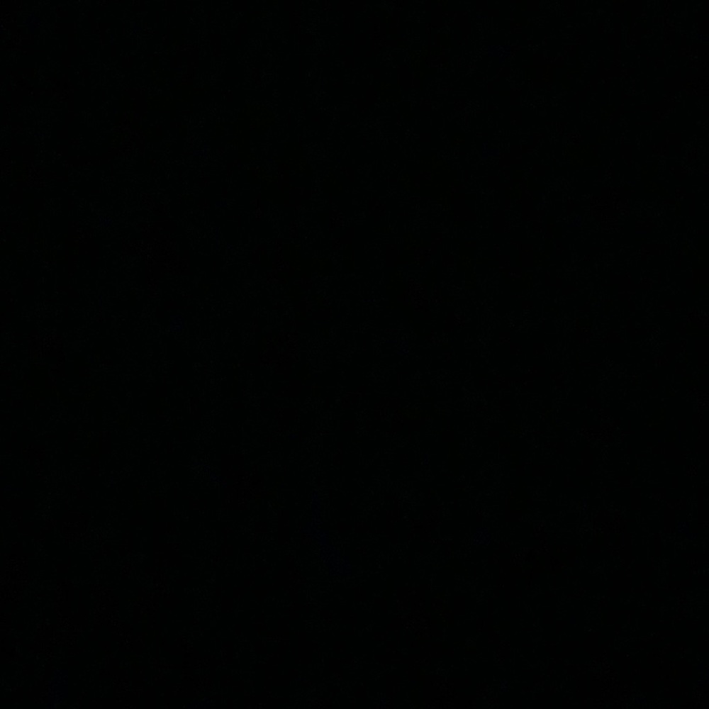 Meet your Posher, Bella